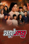 Anlong Kam 50